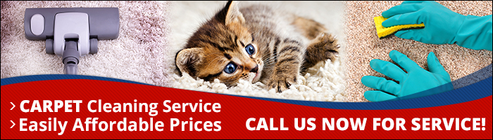 About our Carpet Cleaning Company