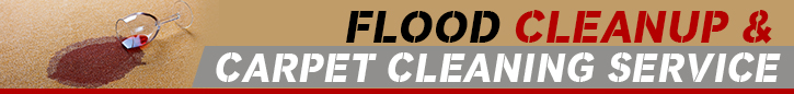 Blog | Carpet Cleaning Playa del Rey, CA